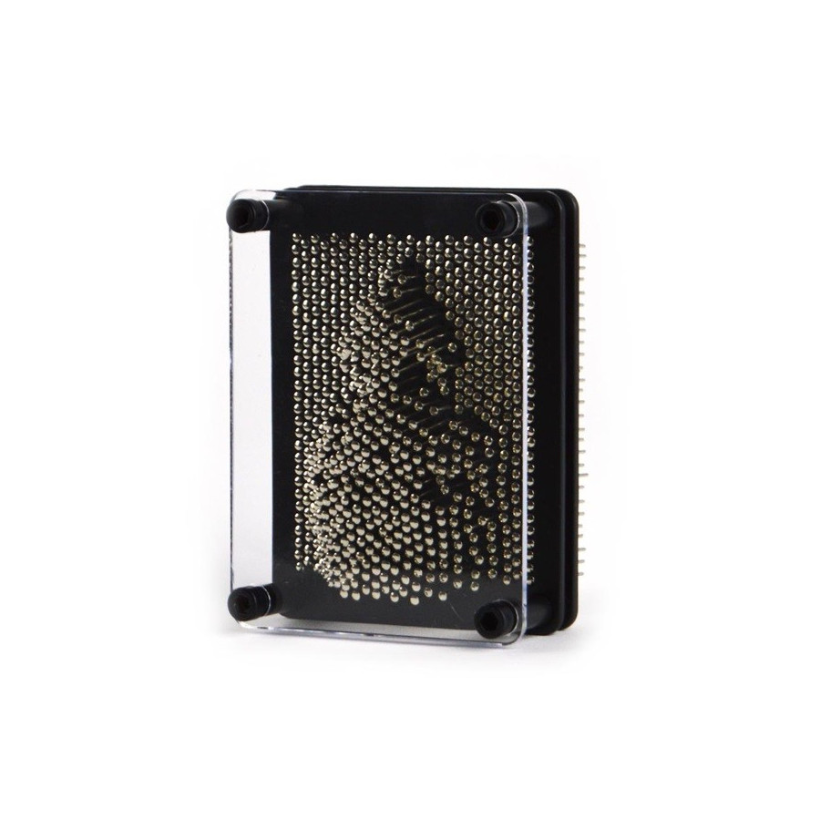 Pin Art metolowy mały 10x12cm